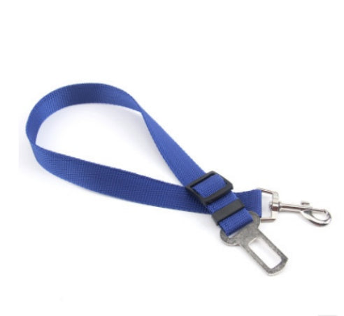 Premium fixed-strap polyester dog leash for optimal control