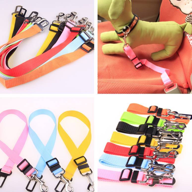 Premium fixed-strap polyester dog leash for optimal control